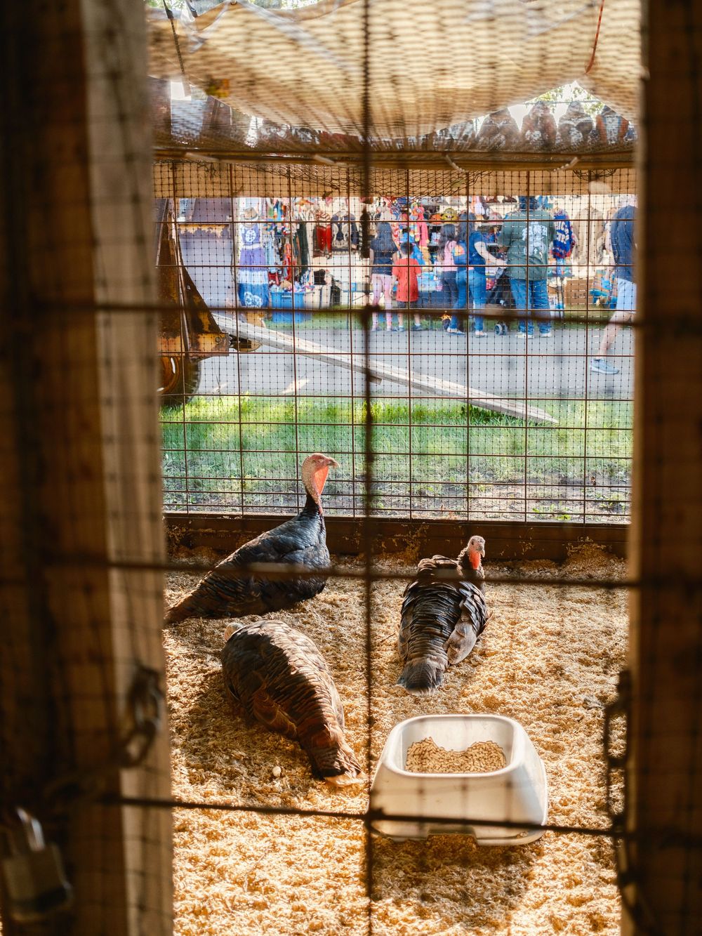 A selection of images from the Boone County Fair in Belvidere, IL captured by photographer David J. Manning on August 11, 2026.