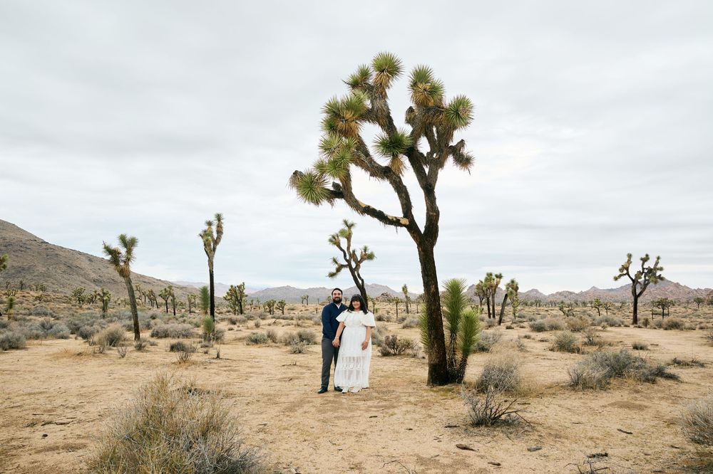 Couple embraces under Joshua trees in desert landscape at Joshua Tree National Park elopement wedding.
