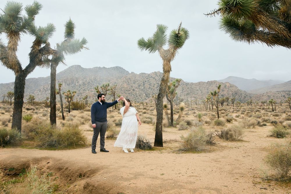 Bride and groom celebrating among Joshua trees in scenic desert with mountain views.