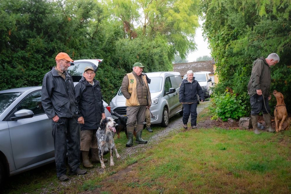 Group of hunters with dogs gathered near cars in a lush green countryside setting on an overcast day.