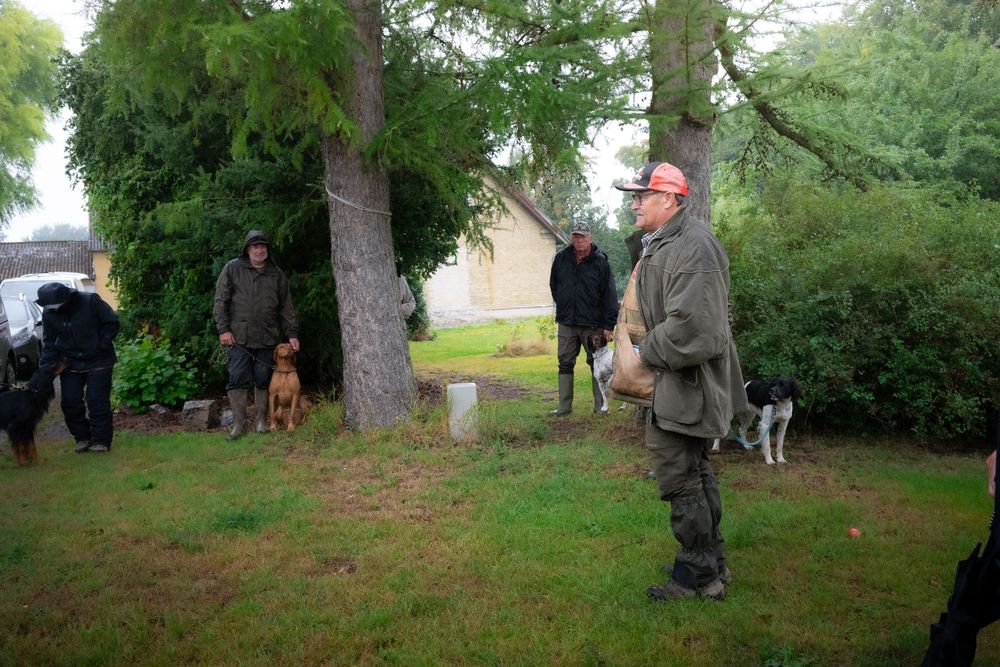 Men with dogs gather outdoors near trees in a rural setting, dressed in hunting attire on an overcast day.