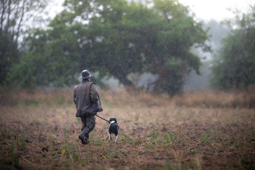 Hunter walking dog through muddy field in heavy rain, surrounded by misty trees and grey skies.