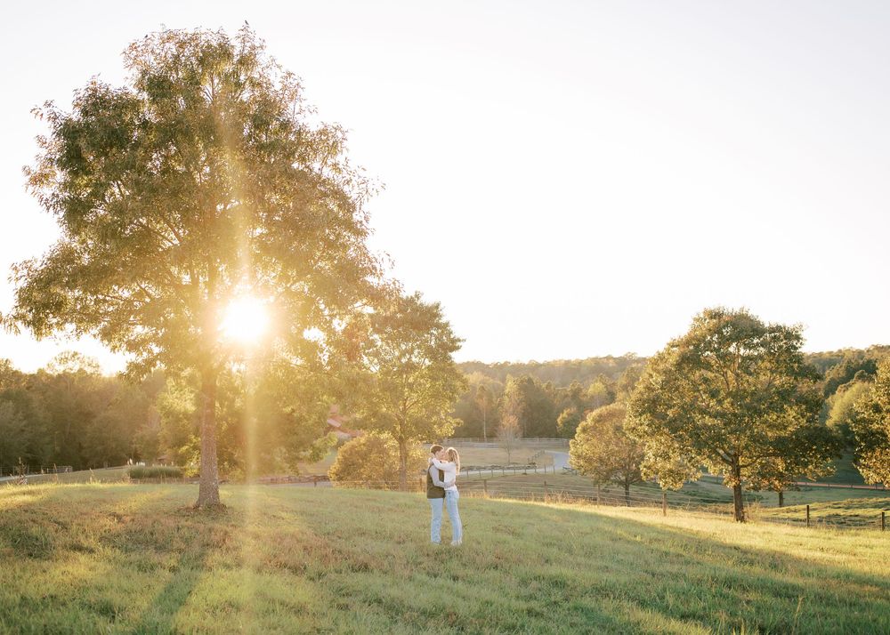 Golden sunset illuminates a pastoral landscape with trees silhouetted against the sky.