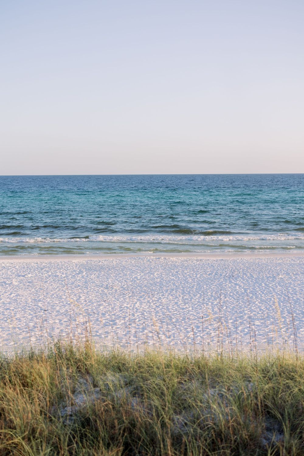 Tranquil beach scene with sea grass swaying in the foreground and gentle waves rolling onto the sandy shore.