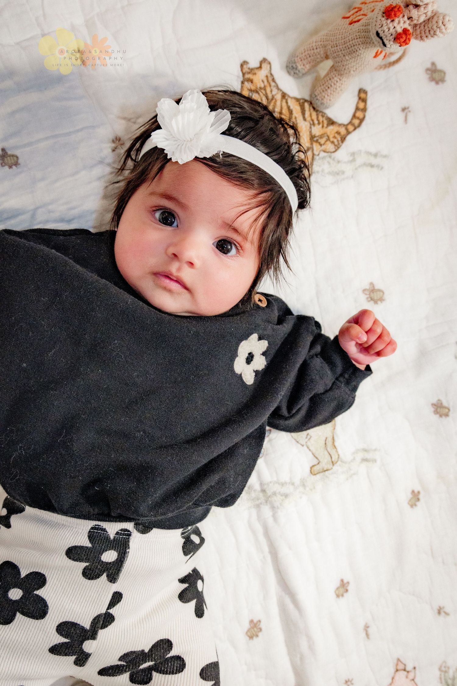 Baby girl lying on a floral blanket during an indoor portrait session