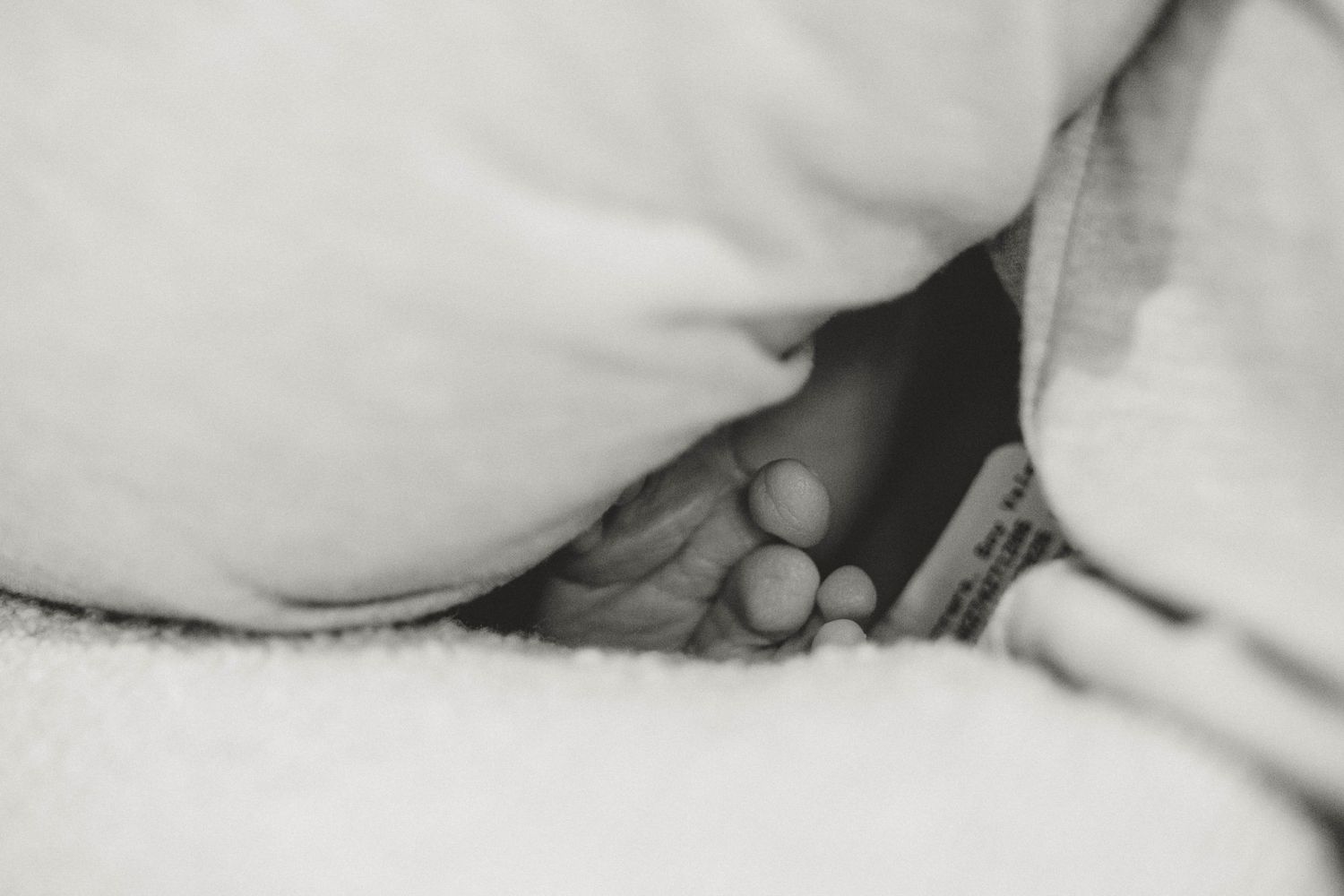 Close-up black and white photo of tiny newborn baby toes peeking out from soft white blanket.