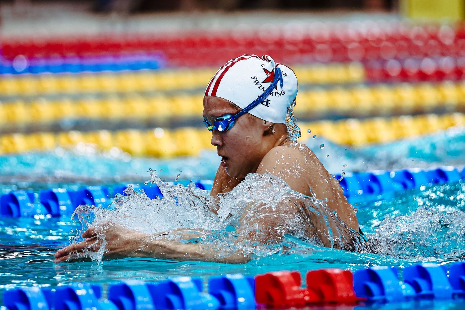 Competitive swimmers dive into a pool at the Brisbane Aquatic Centre during a Swimming Queensland championship event.