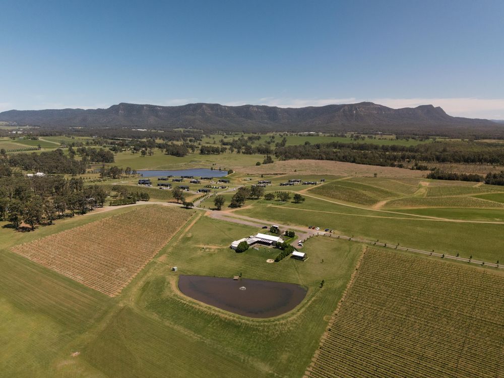 Aerial view of scenic vineyard estate with mountains, green fields, and a pond in rural Australia.