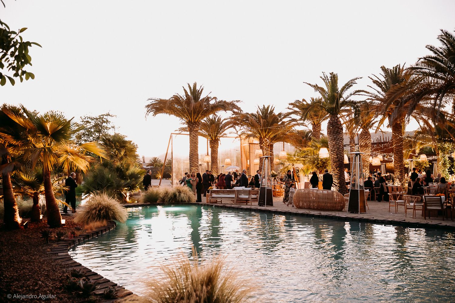 Elegant outdoor wedding reception by a pool surrounded by palm trees at golden hour.