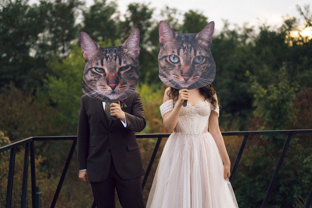Couple in wedding attire wearing oversized cat face masks standing on a bridge surrounded by green trees.