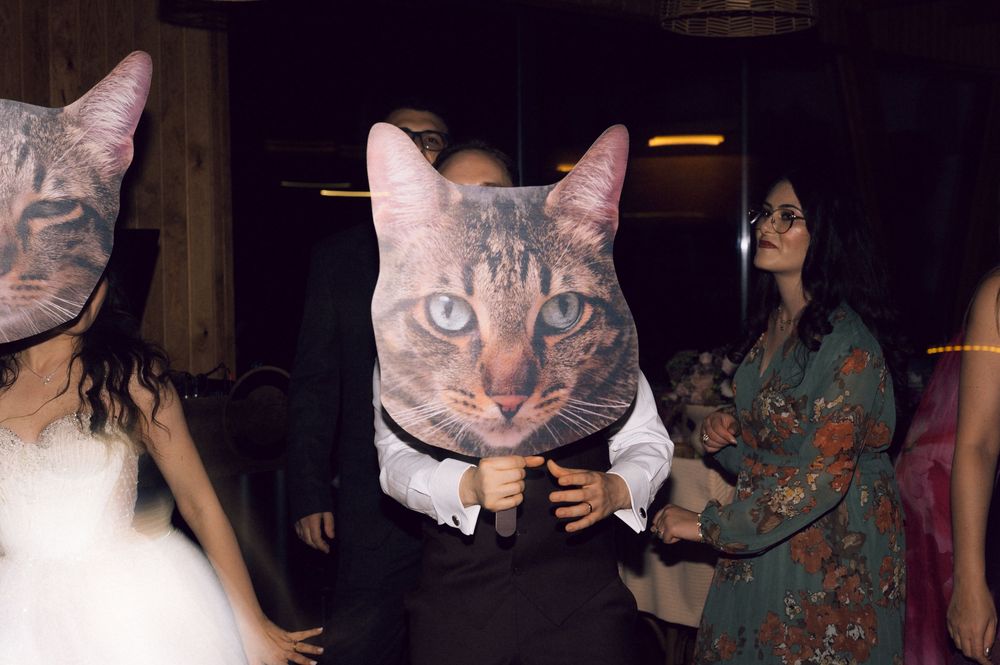 People dancing at a party wearing oversized cat face masks at what appears to be a wedding reception.