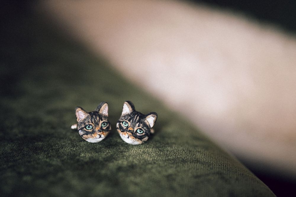 Pair of cute tabby cat face stud earrings resting on a green velvet surface.