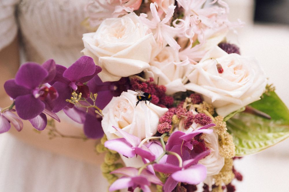 Bridal bouquet featuring white roses, purple orchids, and burgundy blooms for an elegant wedding arrangement.