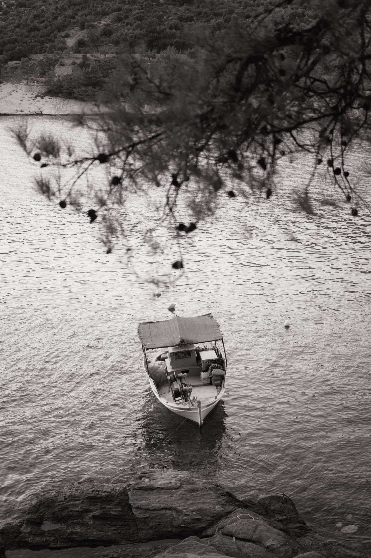 Black and white aerial view of a small motorboat anchored near rocky shore, with tree branches framing the calm water.