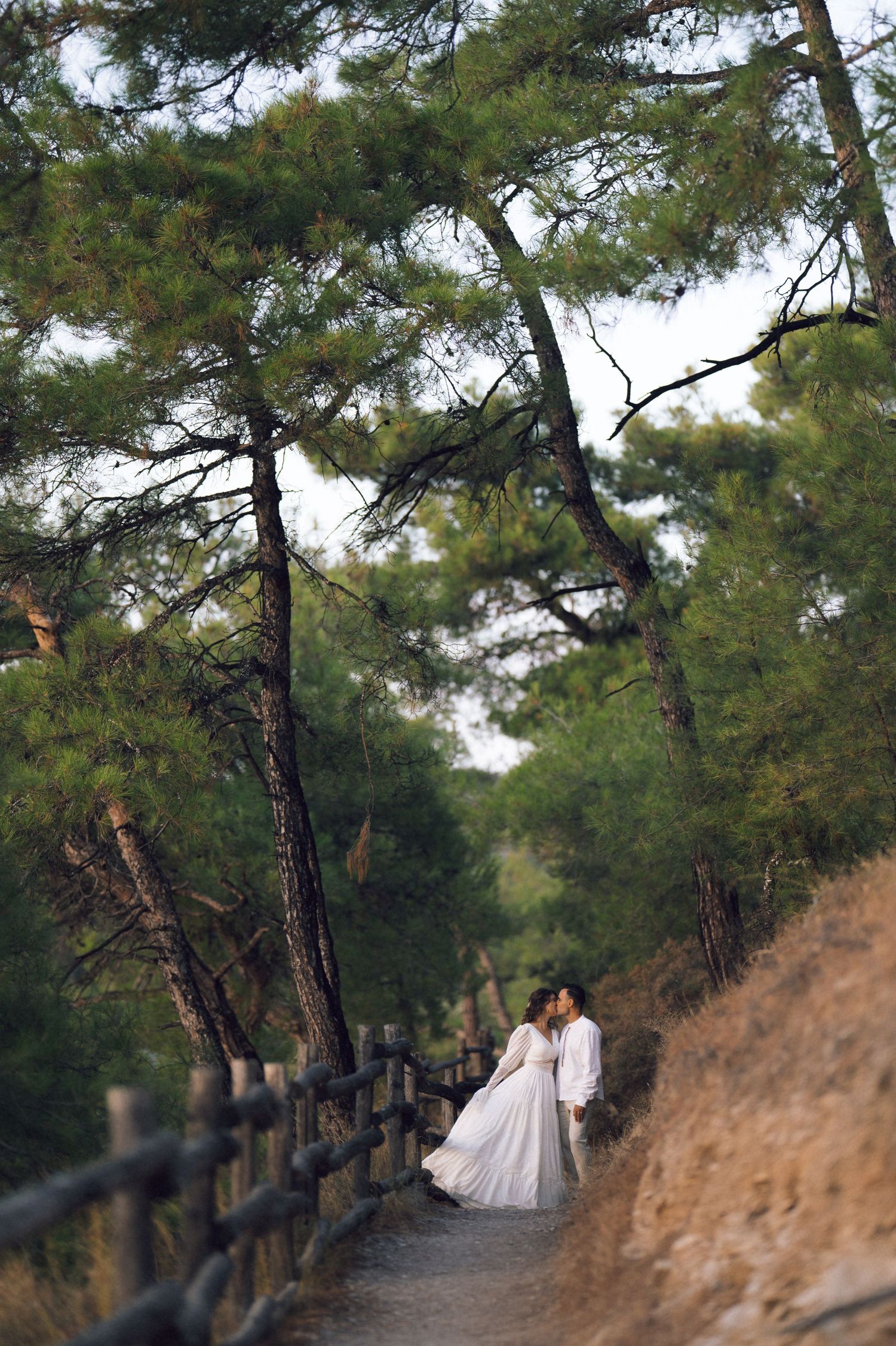 Couple in wedding attire embracing on a scenic forest path lined with pine trees and wooden fence.