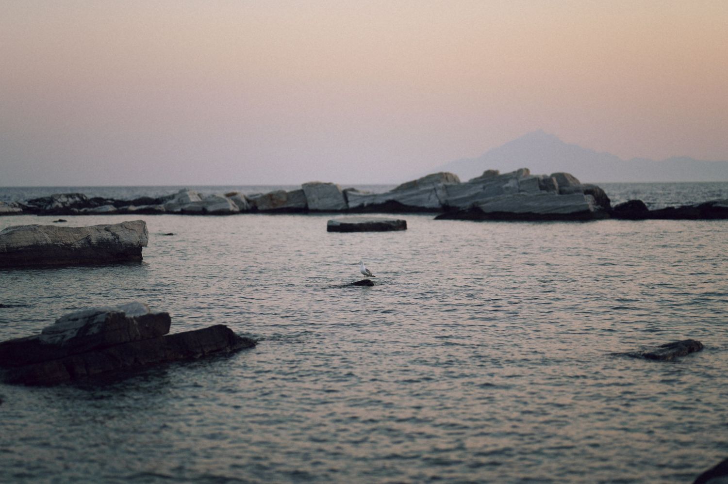 Rocky coastline at dusk with calm sea waters, a lone bird, and distant mountains under a pink twilight sky.