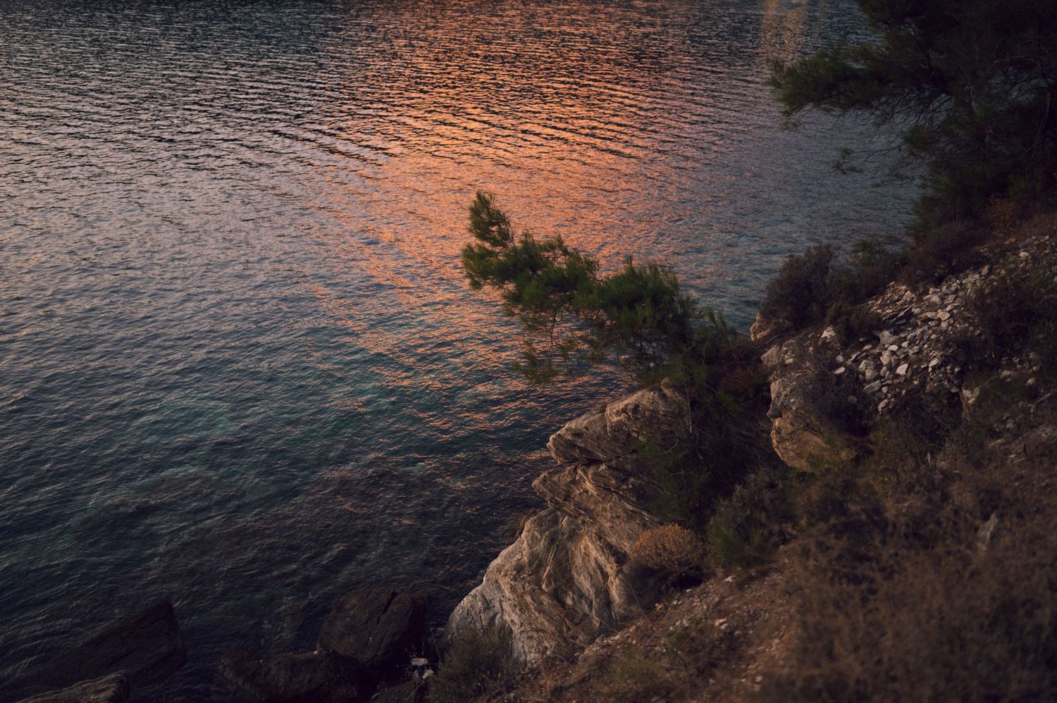Rocky coastal cliff with pine tree overlooking calm sea waters reflecting warm sunset orange and red hues at dusk.