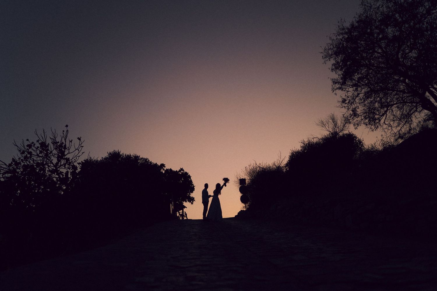 Silhouette of a couple at sunset, surrounded by trees, with one person holding a bouquet aloft.