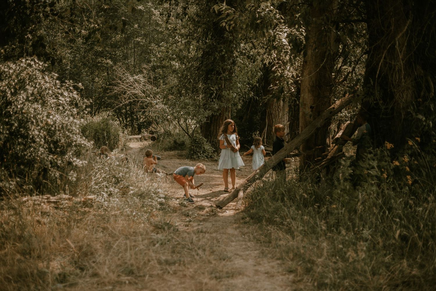 Children playing on a forest trail surrounded by lush green trees on a sunny day.