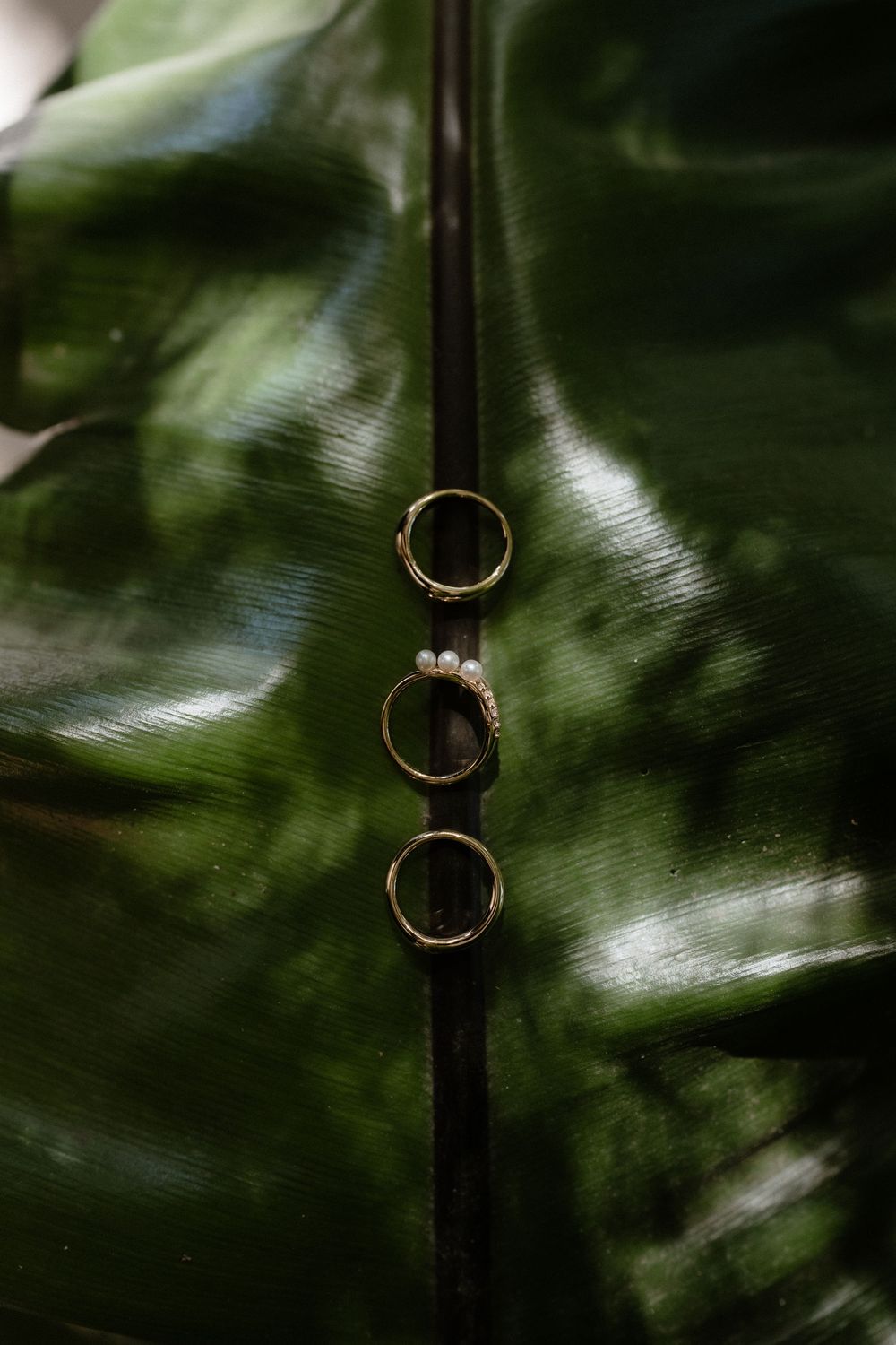 Three gold wedding rings balanced vertically on a glossy green tropical leaf for a wedding detail shot.