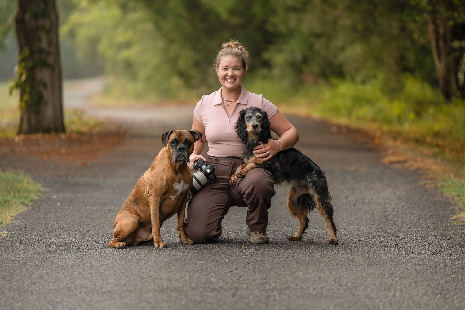 Woman kneeling on a tree-lined road with three dogs, including a Boxer and a German Shepherd mix.