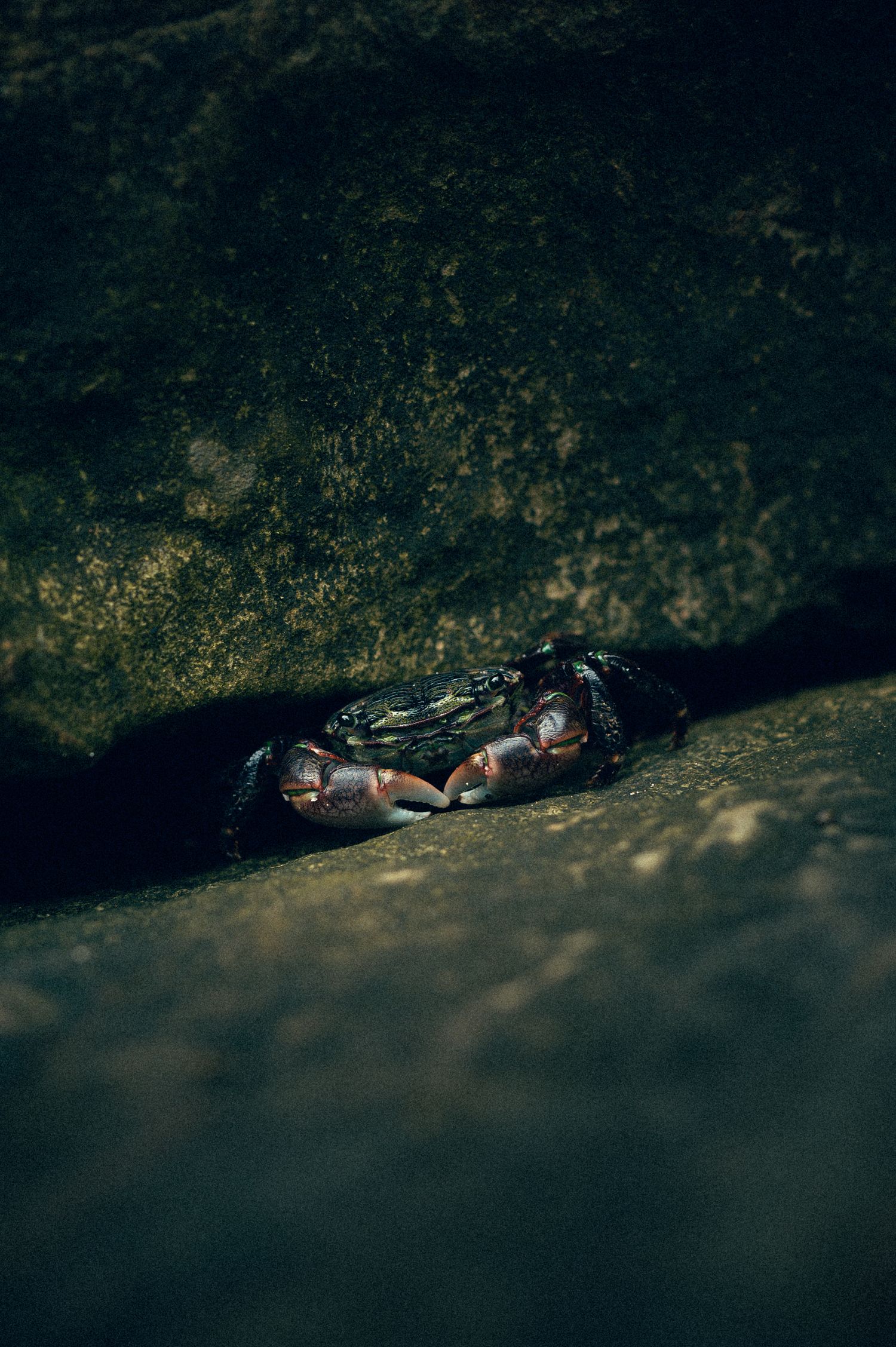 Oregon Crab coastline travel photos. Oregon Coast Road trip travel photography - outdoor and wellness focused travel photography.