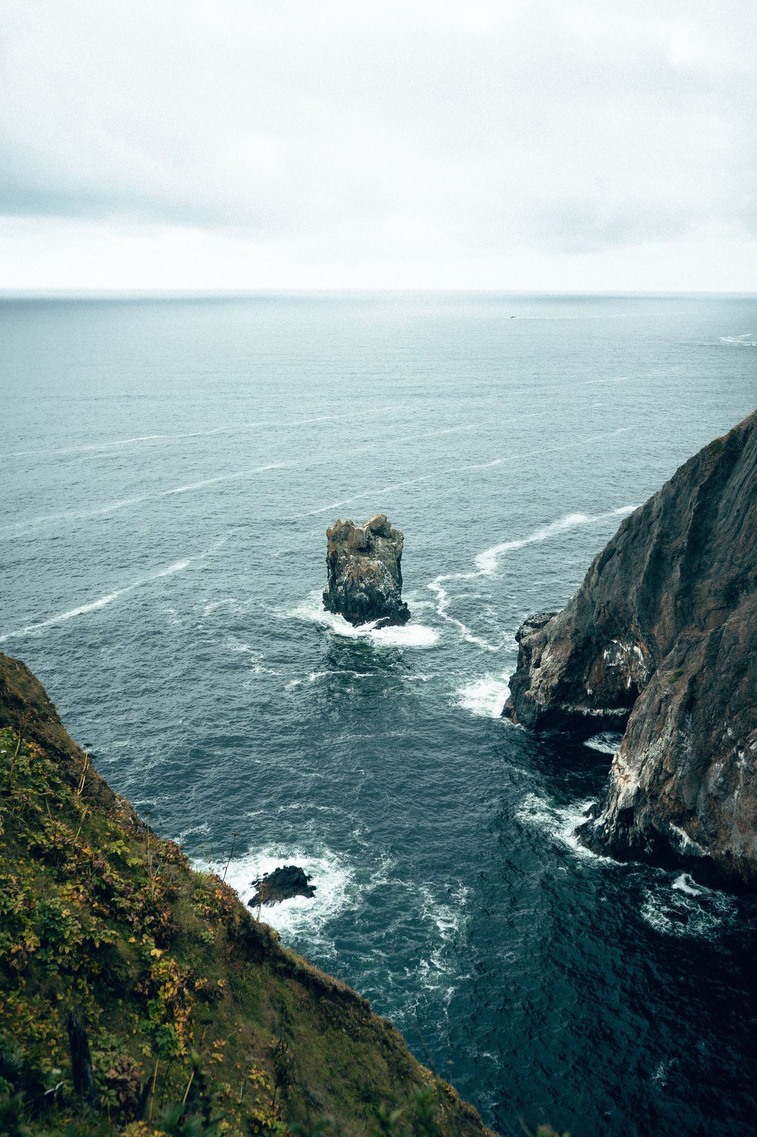 20 best things to do along the Oregon coast road trip. Elk Flats Trail Oregon. Destination and travel photography by Carl James