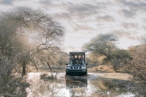 Safari vehicle with passengers drives through a flooded dirt track surrounded by acacia trees and soft golden light at sunrise.