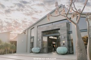 Modern stone and glass building entrance at sunset with large teal ceramic planters and a sculptural baobab-style tree in the foreground.