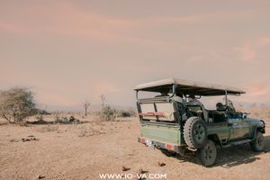 Open-sided green safari vehicle with a spare tire parked on dry dusty ground in the African savanna under a soft pink sunset sky.