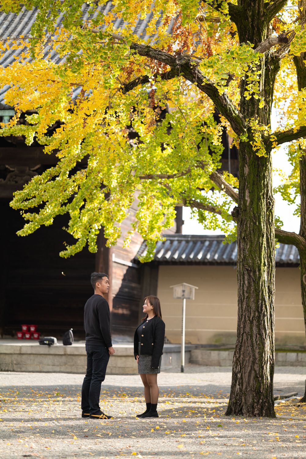 Couple talks beneath a golden ginkgo tree with yellow autumn leaves in front of a traditional Japanese temple.