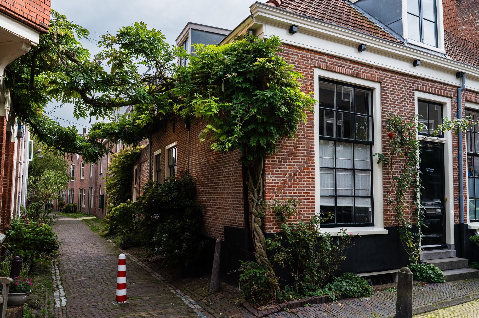 Charming brick alleyway with ivy-covered buildings and cobblestone path in a quaint Dutch neighborhood.