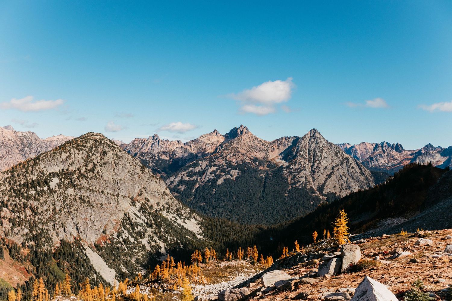 Panoramic autumn mountain landscape with golden larch trees, rocky peaks, and blue sky in the North Cascades.
