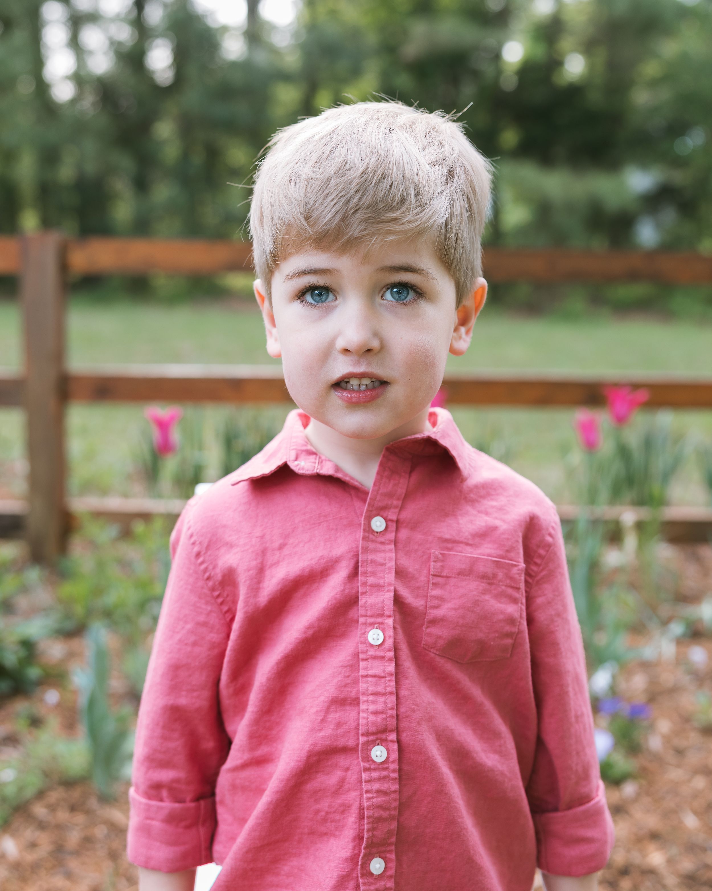 A young blonde boy with blue eyes wearing a pink button-up shirt stands outdoors near a wooden fence with tulips.