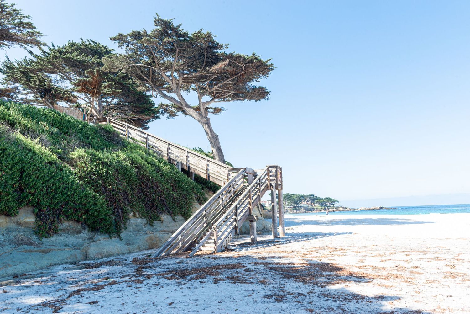 Wooden beach stairs leading to a sandy shore with cypress trees and green ivy on a sunny California coastline.