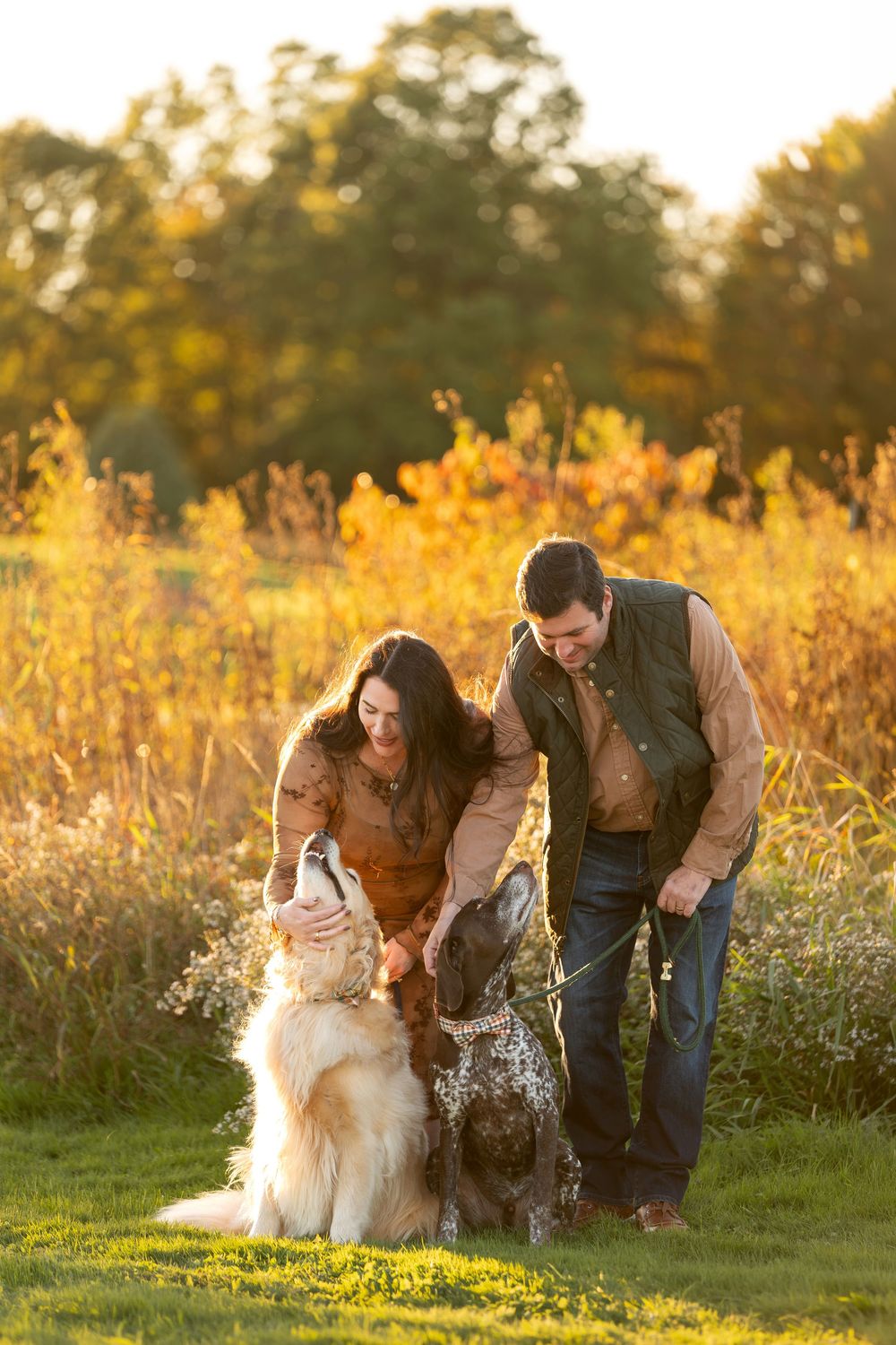 Couple petting two dogs in a golden autumn field during sunset outdoors.