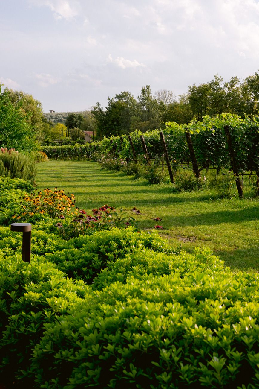 The beautiful vineyard in the countryside of Lake Garda where an American couple arranged their rehearsal dinner.