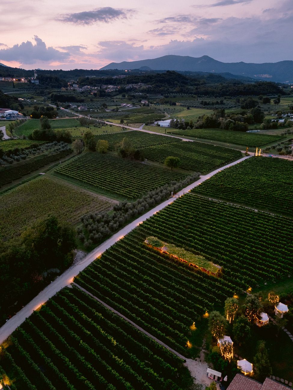 The beautiful vineyard in the countryside of Lake Garda where an American couple arranged their rehearsal dinner.