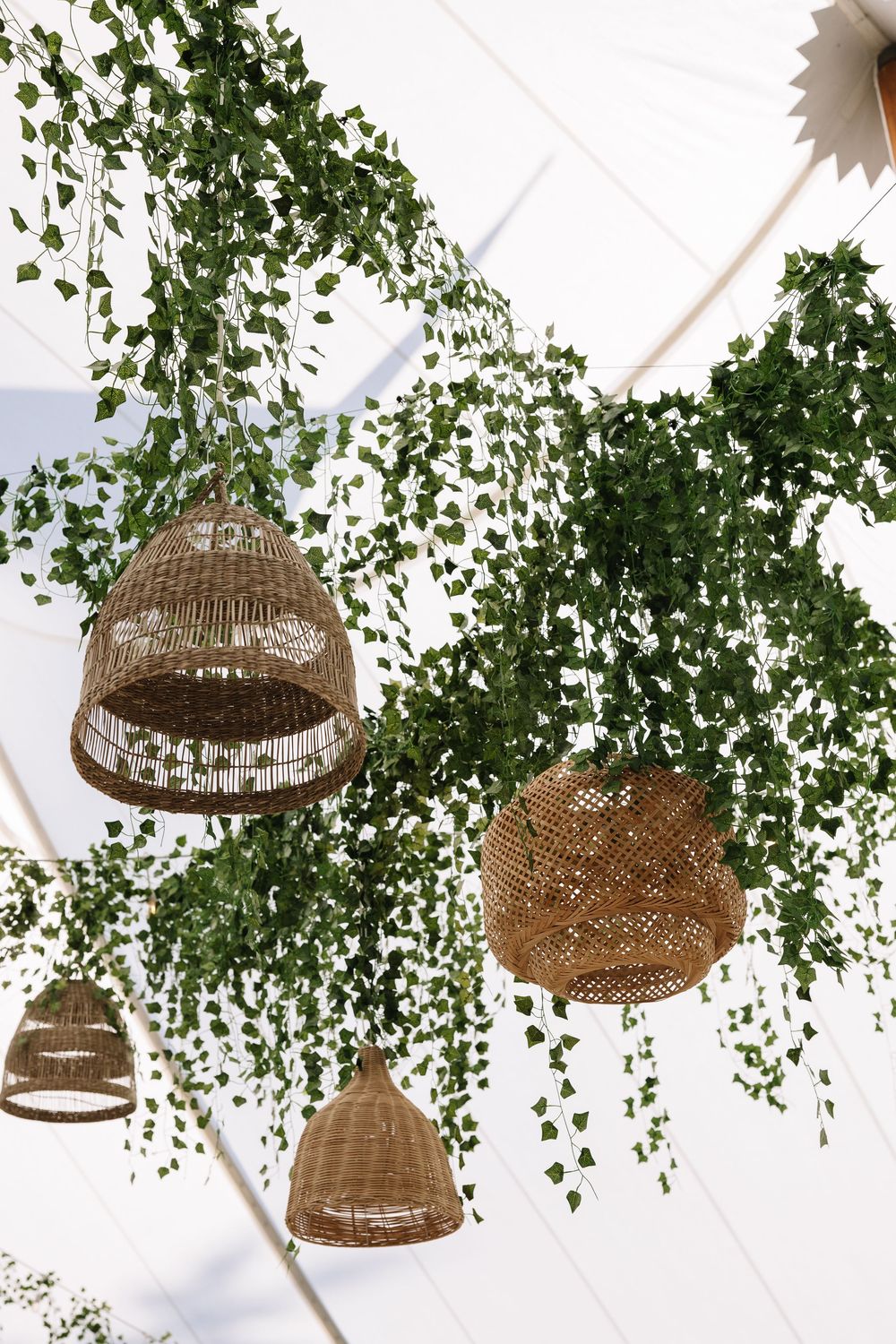 Wicker pendant lights hanging from white ceiling with cascading green ivy vines for boho wedding decor.