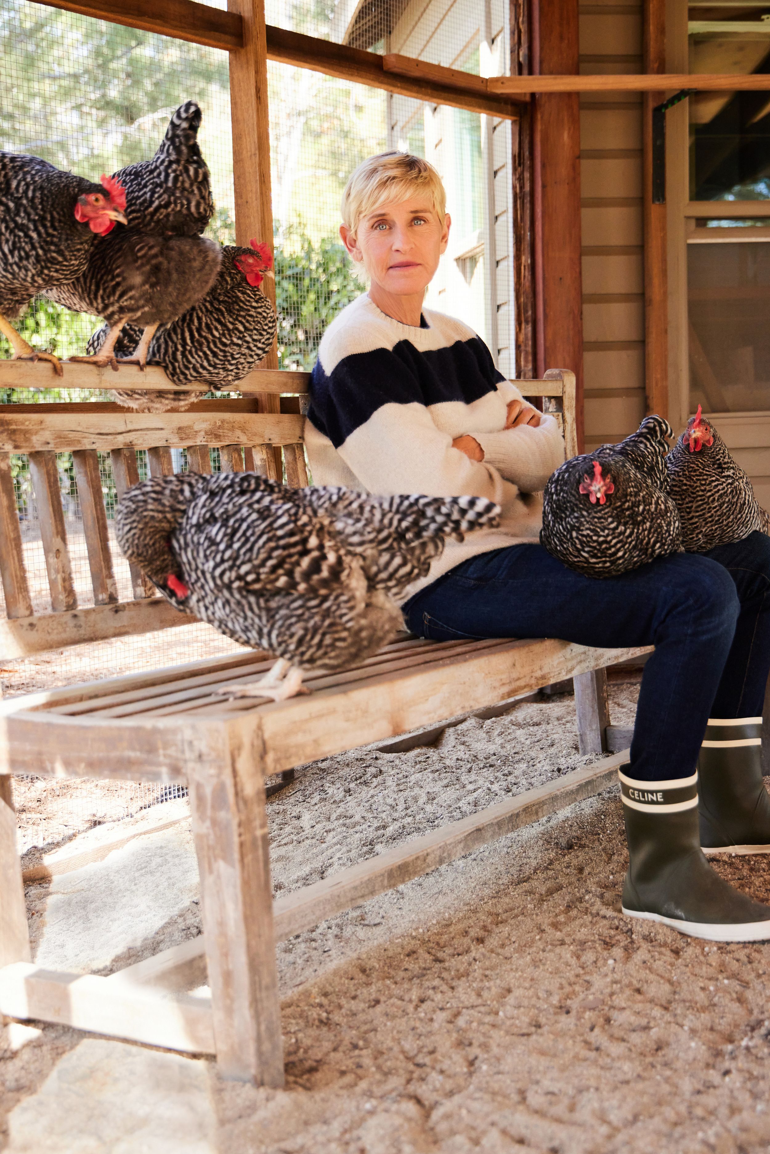 Ellen DeGeneres sitting on a bench in her chicken coop in Los Angeles surrounded by her chickens