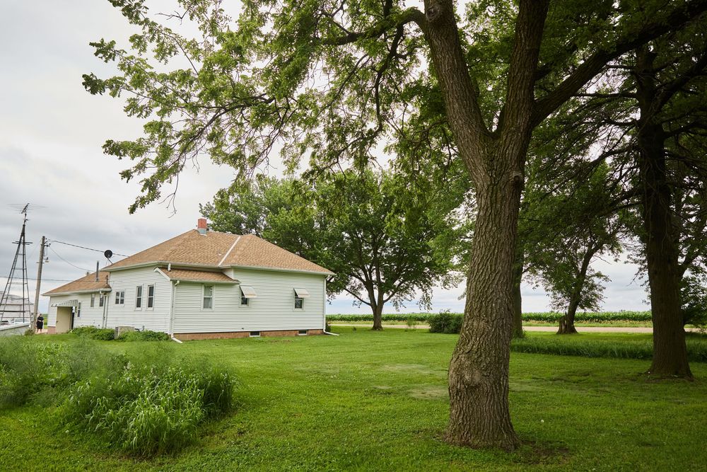 A charming white farmhouse surrounded by mature trees on a lush green rural property.