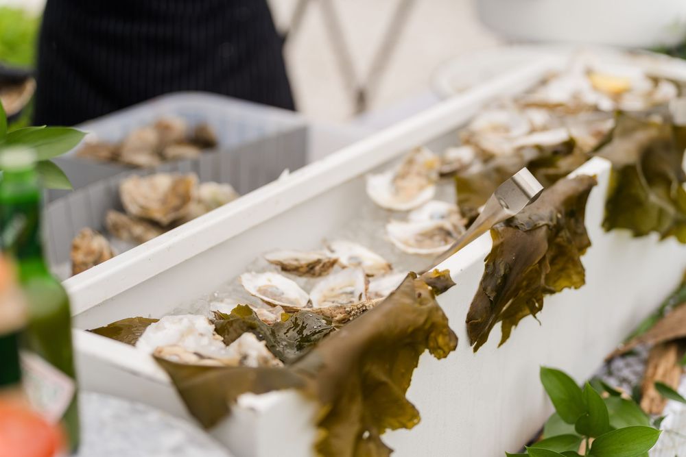 Fresh oysters displayed on seaweed in a white tray at an outdoor seafood market stall.