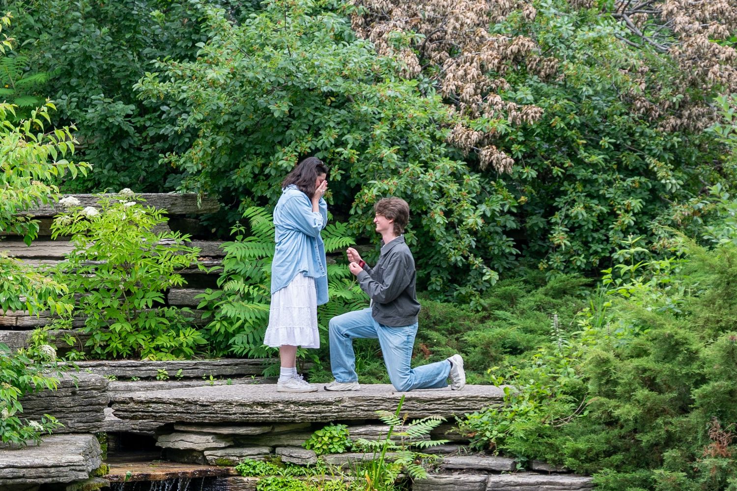 Man kneeling on stone steps proposing to woman in lush green garden setting.
