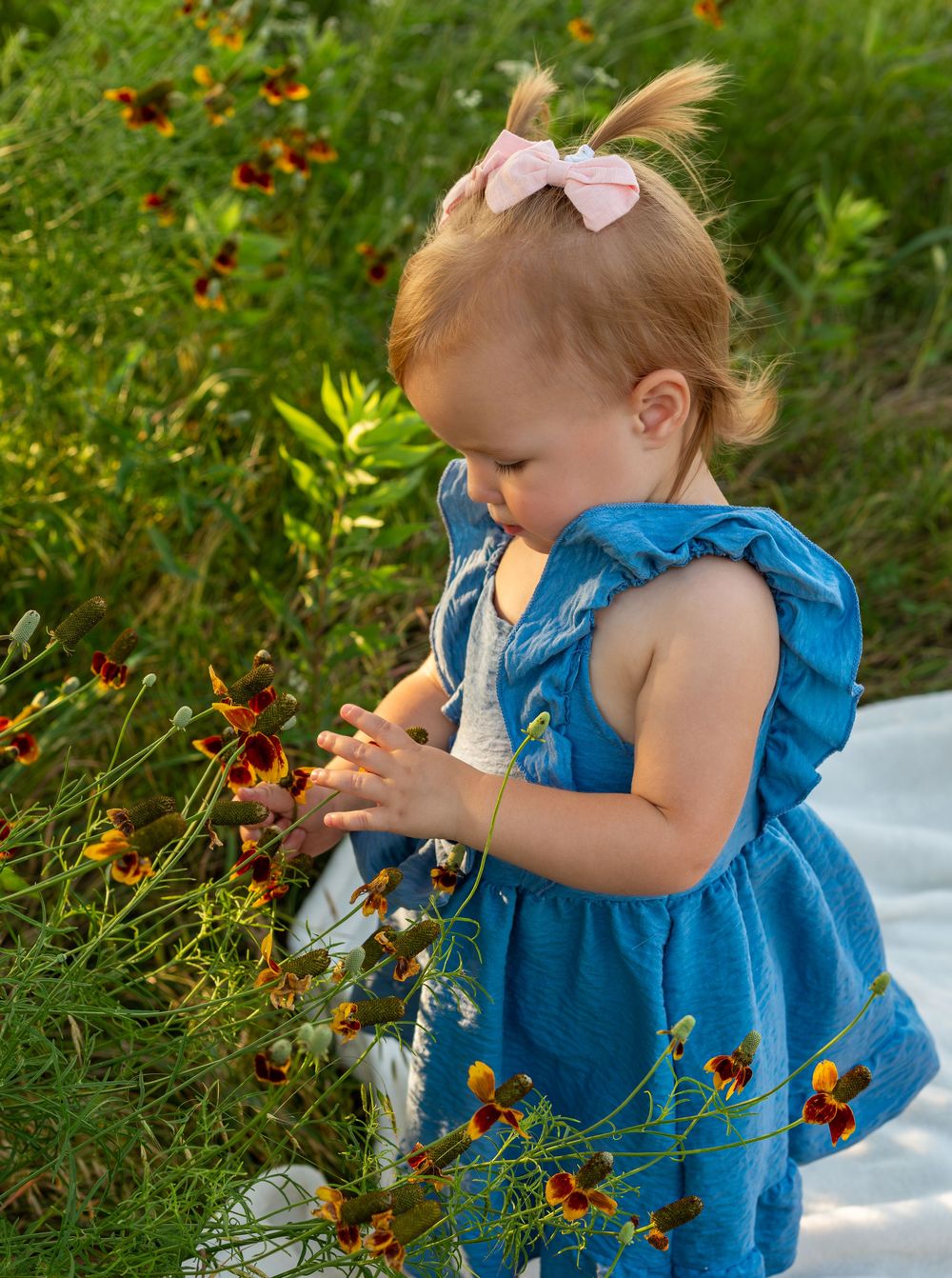Toddler girl in blue dress with pink bow touching wildflowers in a green meadow.