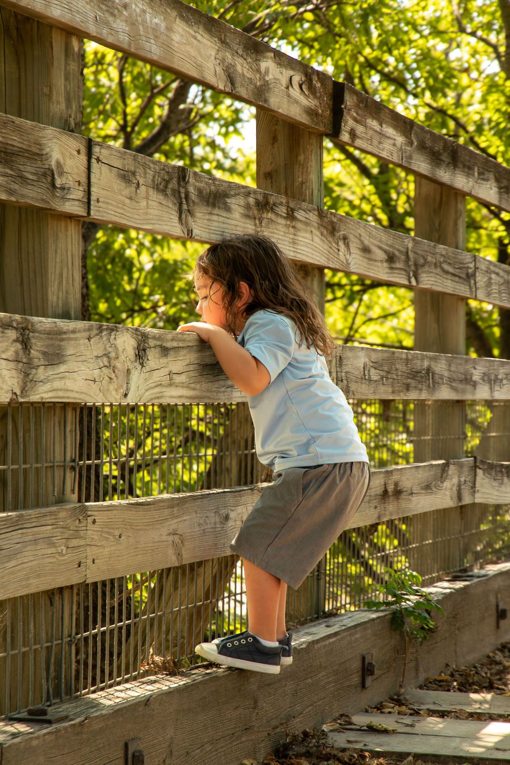 Young child climbing a wooden fence outdoors, surrounded by lush green trees in warm sunlight.