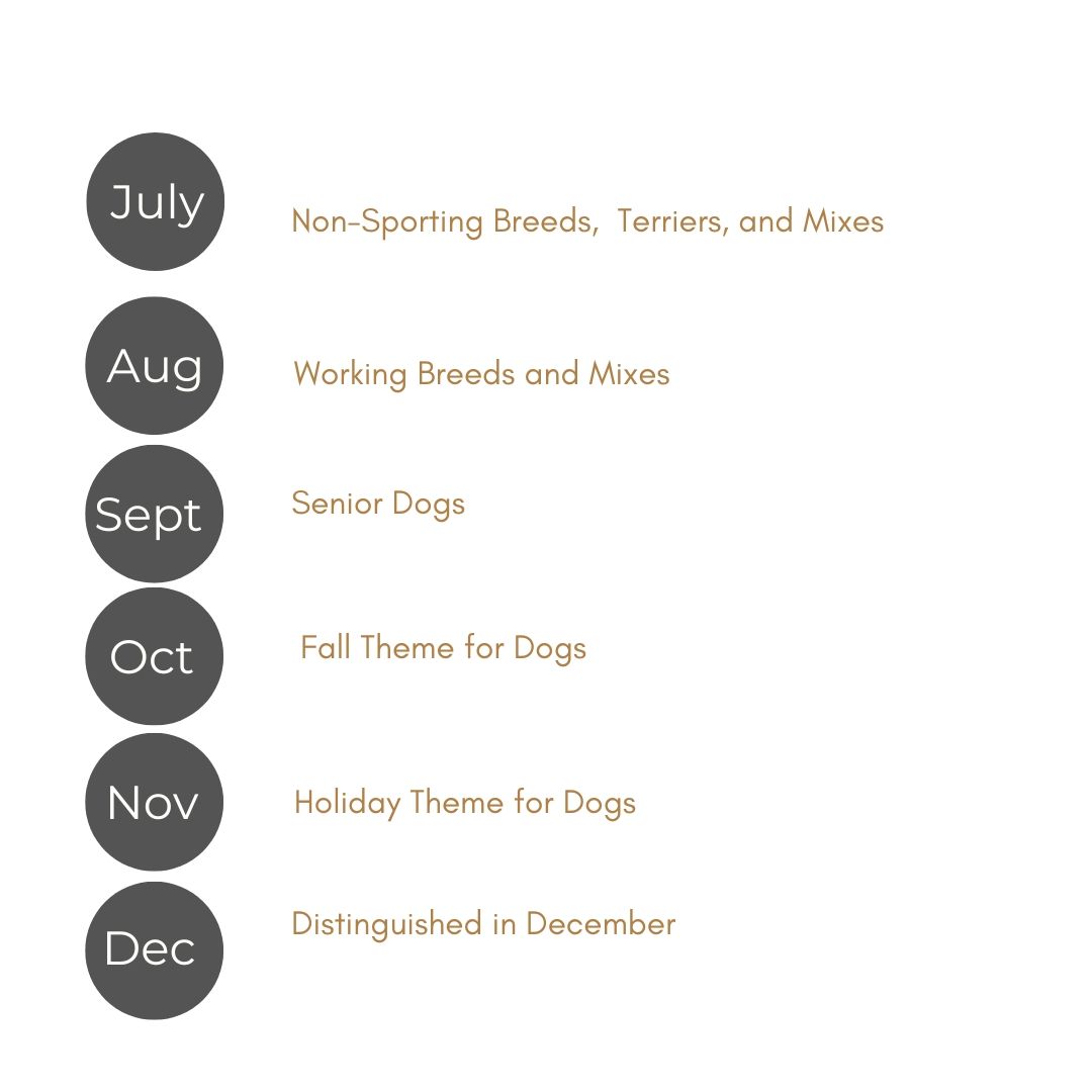 Monthly dog photography schedule listing breed themes from July to December, including Senior Dogs and Holiday themes.