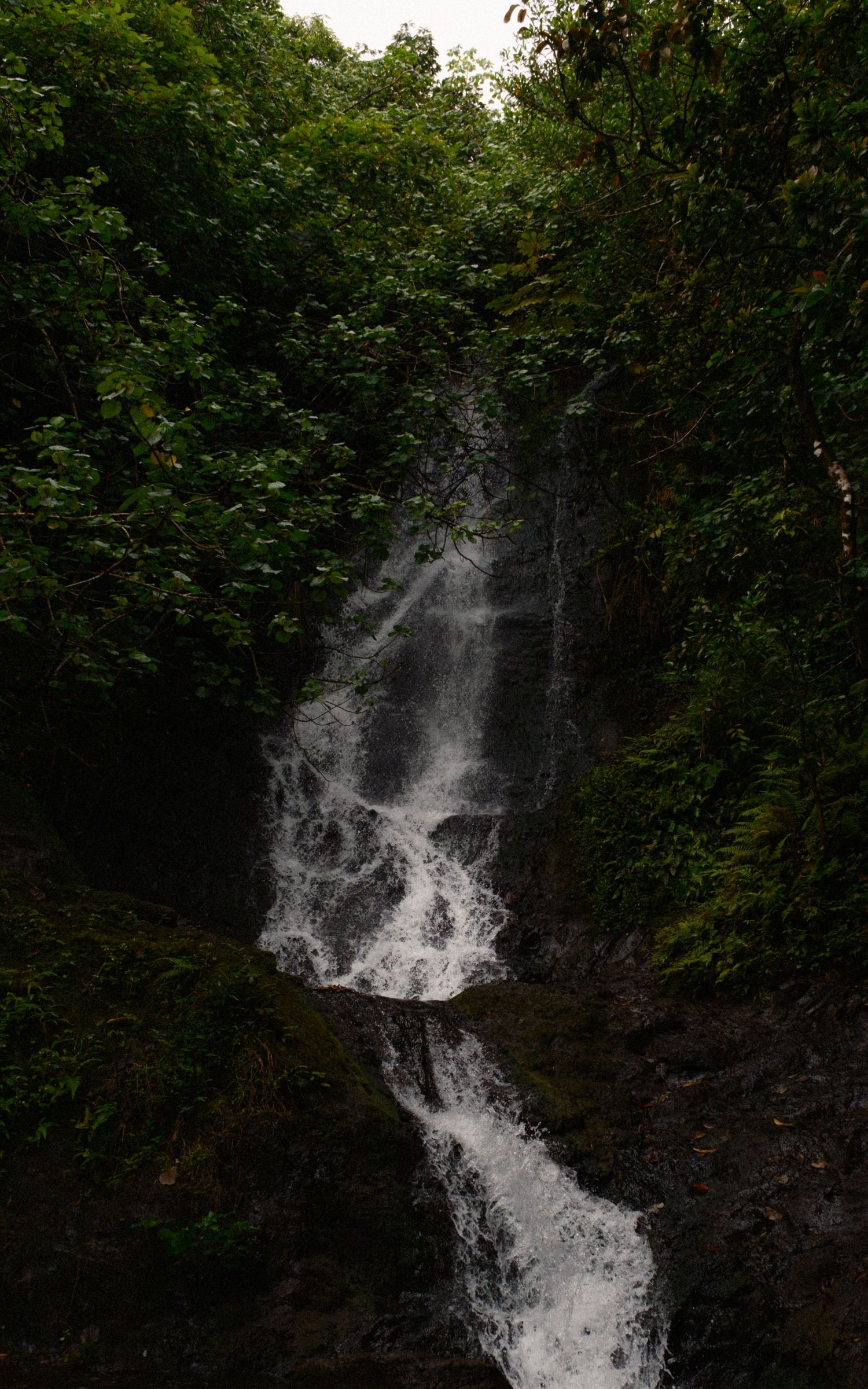 Waterfall on on Oahu, Hawaii.