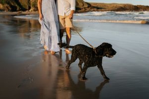 Couple walking black curly dog on leash along sandy beach at golden sunset.
