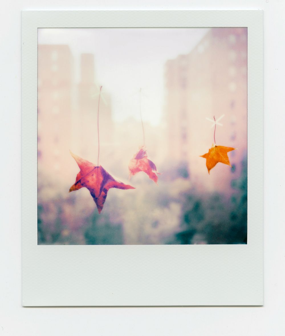 Three colorful autumn leaves hanging by strings in front of a blurred urban cityscape in a vintage Polaroid photo.