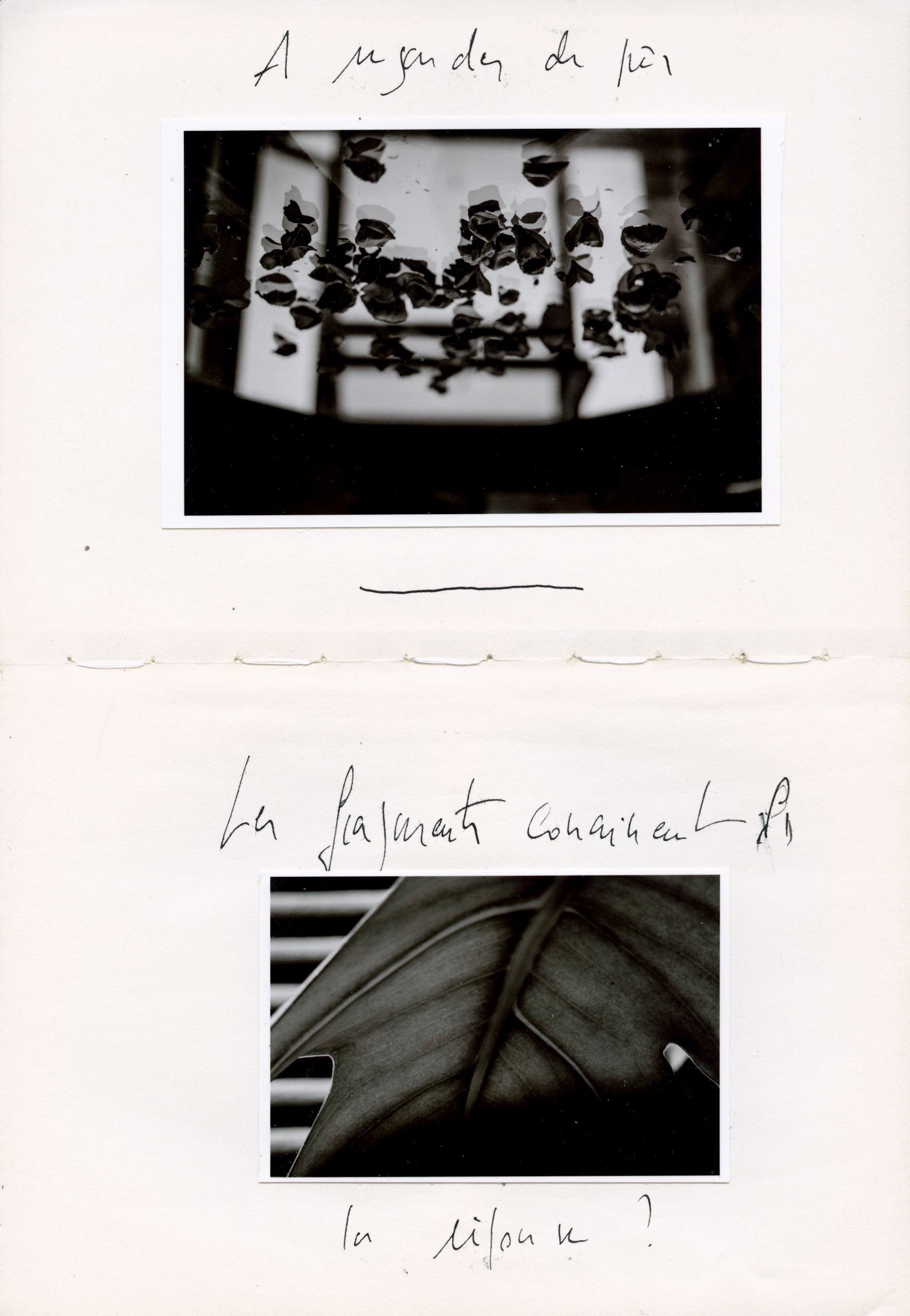 Black and white photo collage with French handwriting showing two close-up nature photographs on white paper.